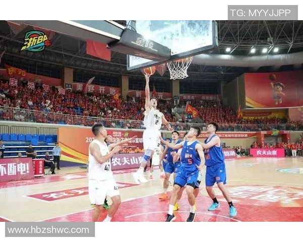 杭州篮球队灵活性分析与战术创新探讨